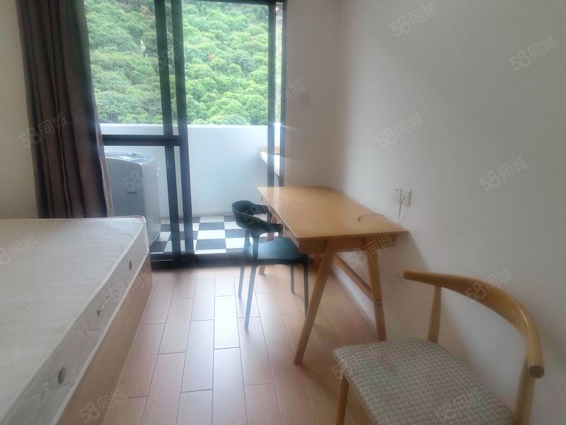 大学城地铁站 精装大单间 大阳台 朝山 