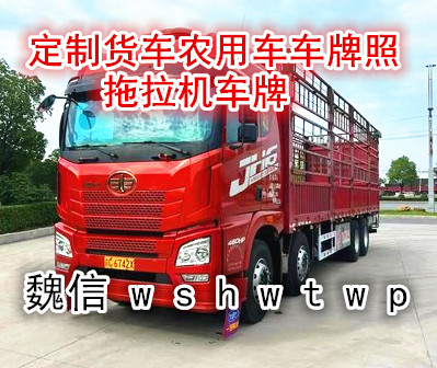 2025年大众途昂 汽车车牌定做