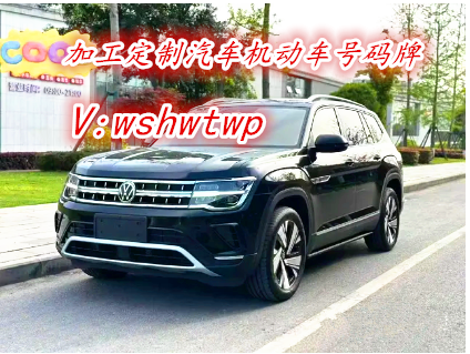 2025年大众途昂 汽车车牌定做